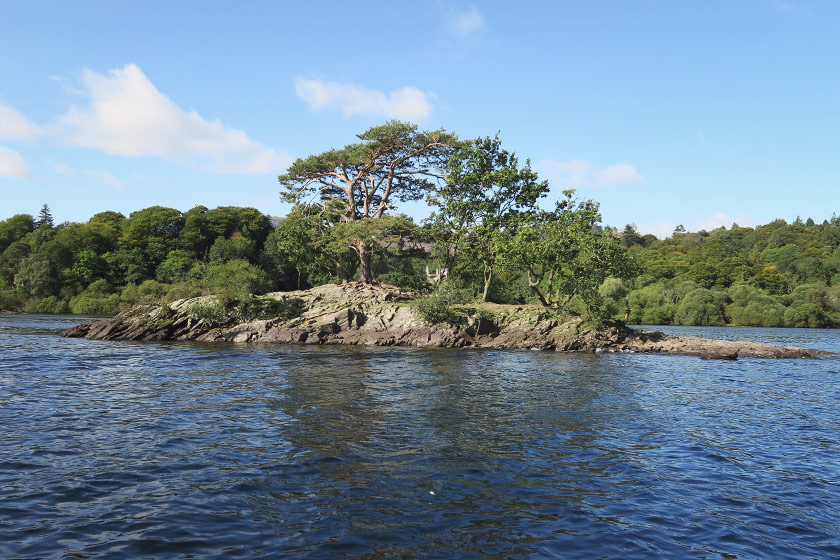 Lake view