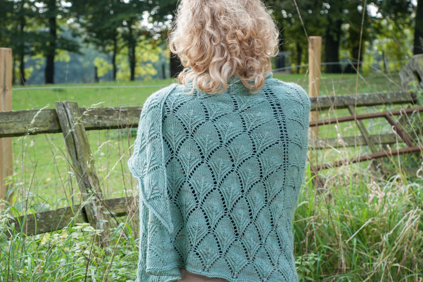 Shawl pattern from the back