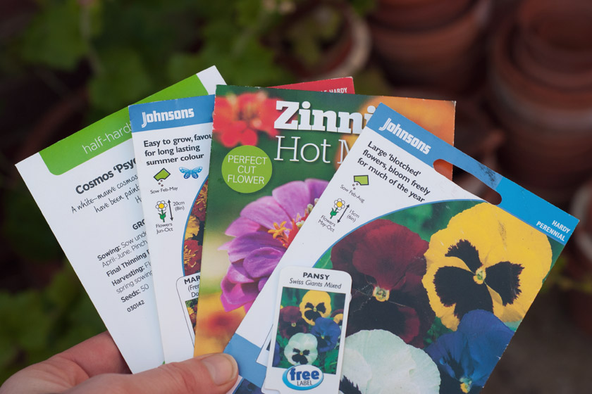 Seed packets in hand