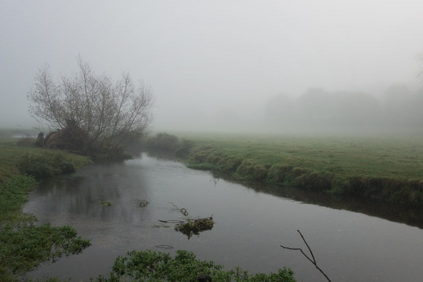 Foggy stream