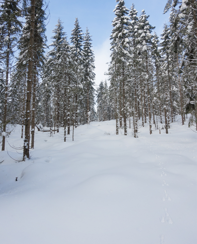 Snowy slope