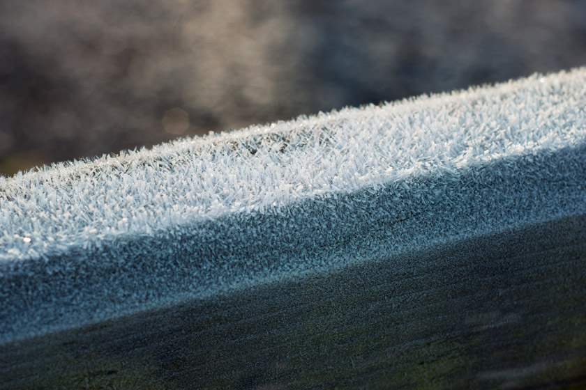 Gate covered in frost