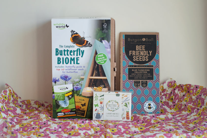 Butterfly feeder and seeds