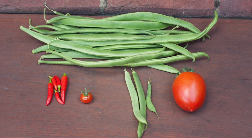 Beans, chillies and tomatoes