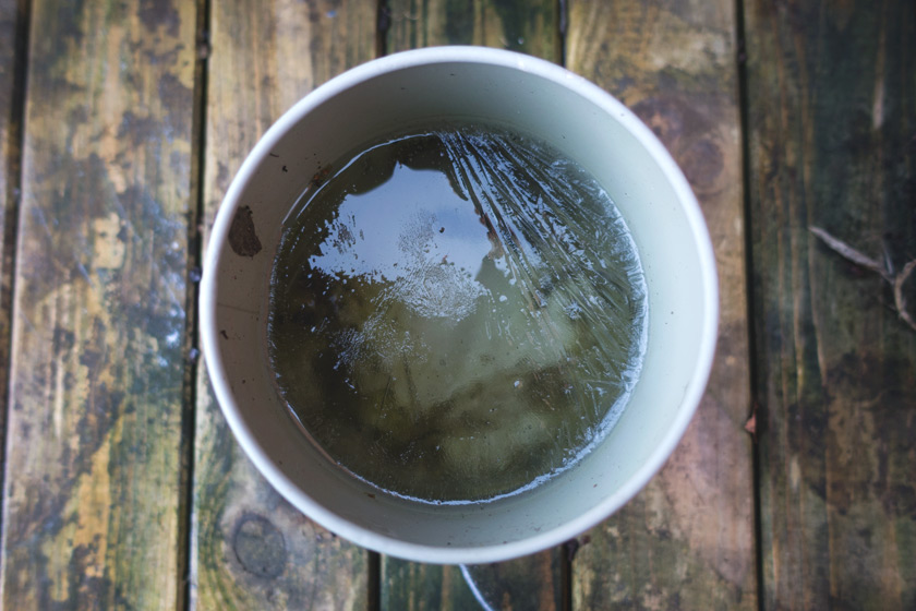 Ice in pot