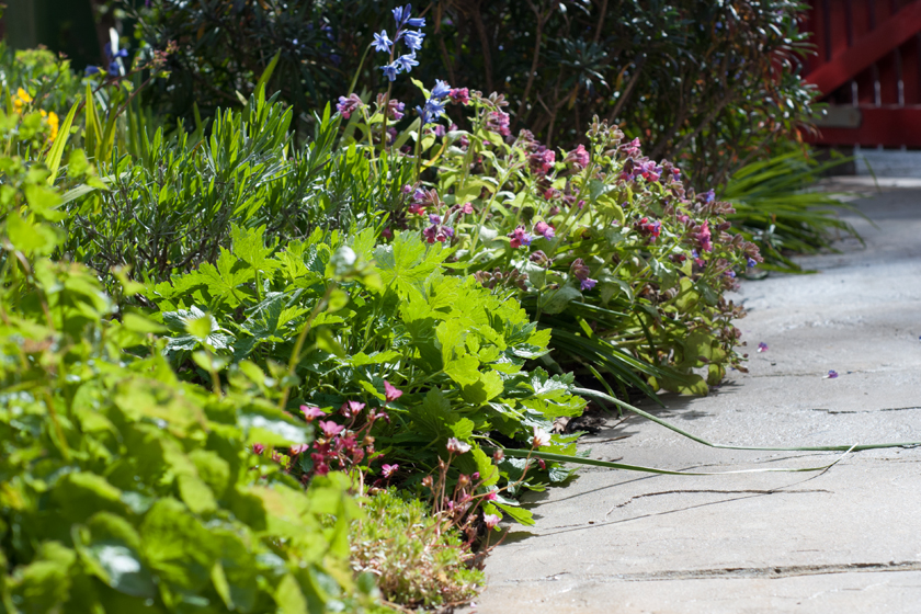 Ground level garden path