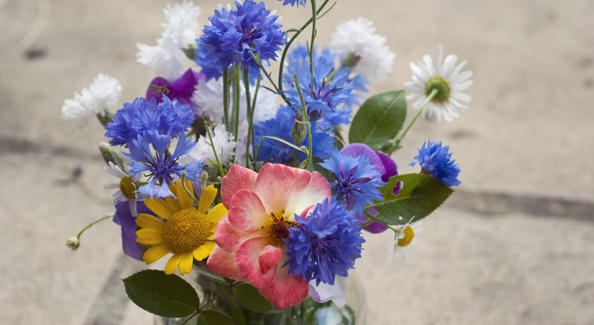 Mixed flower posie