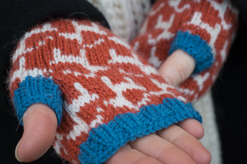 Closeup of knitted goat pattern