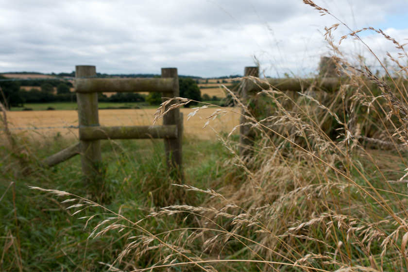 View over stile