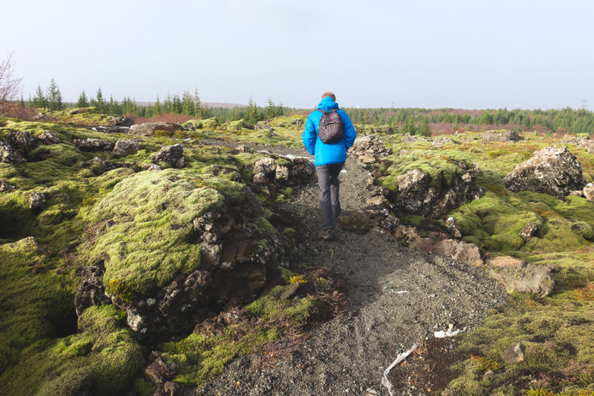 Lava rocks