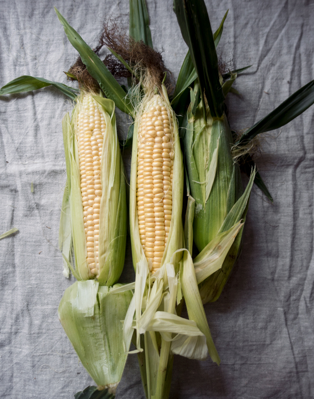 Homegrown sweetcorn cobs