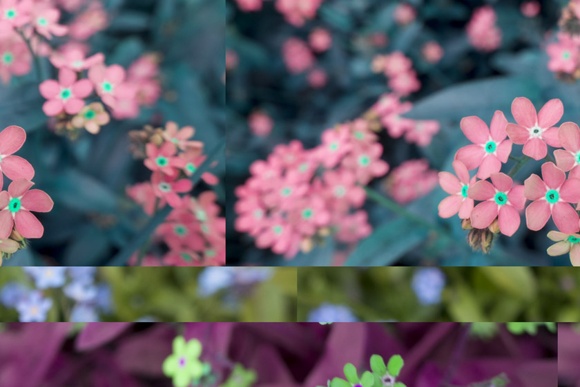 Fragmented flowers