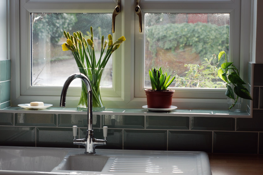 Plants on windowsill