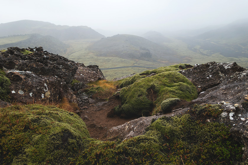 Foggy lava field