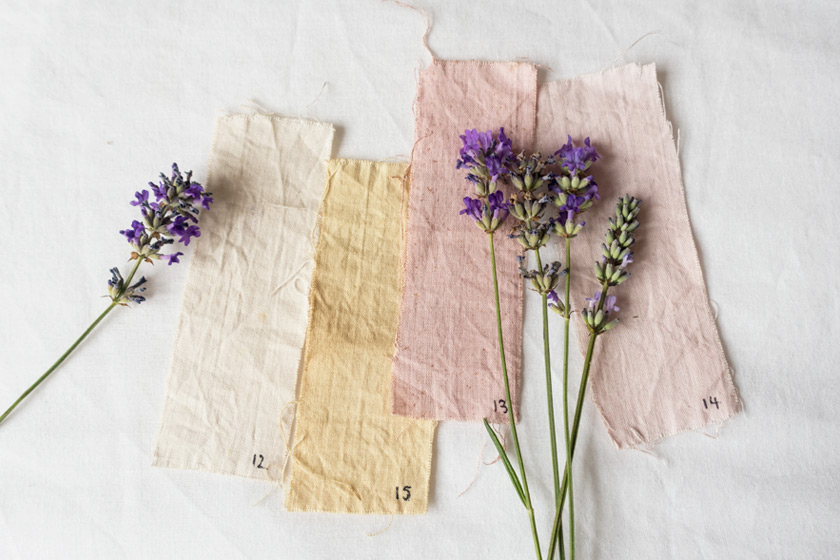 Neutral fabric swatches