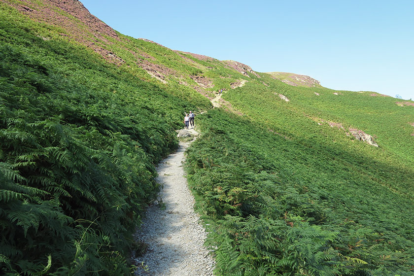 Shingle trail