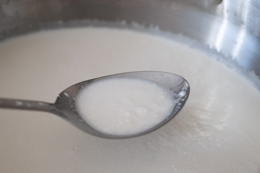 Mozzarella curds on spoon