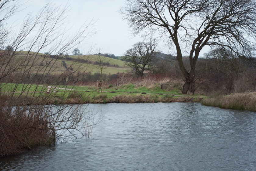 Pond in hotel grounds