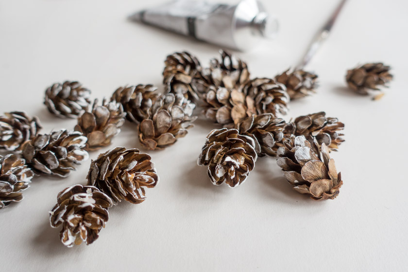 Pinecones painted white
