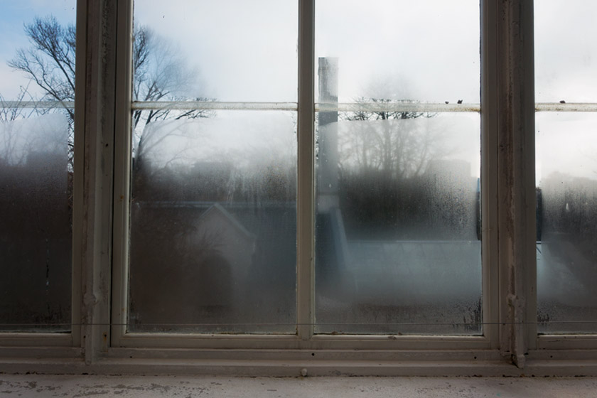 Steamy glasshouse window