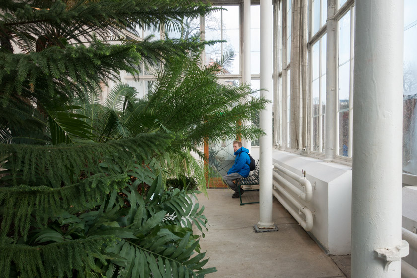 Sitting in glasshouse