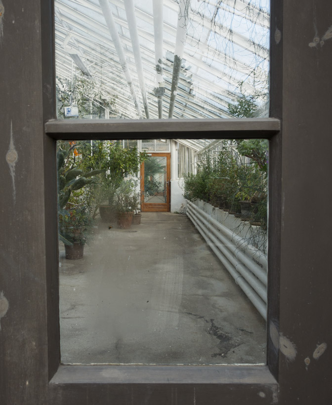 View through door