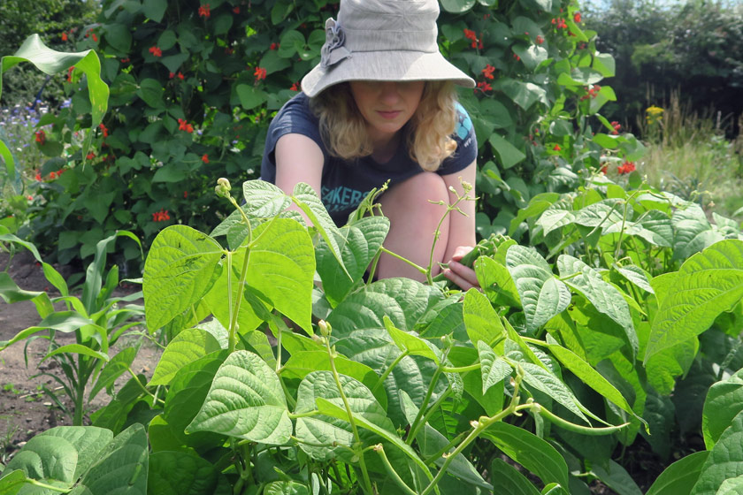 Me picking beans
