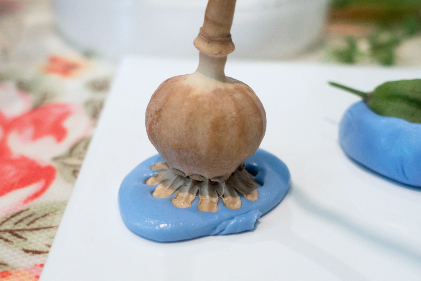 Poppy head in mould