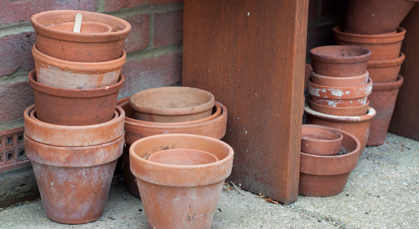 Terracotta pots under bench
