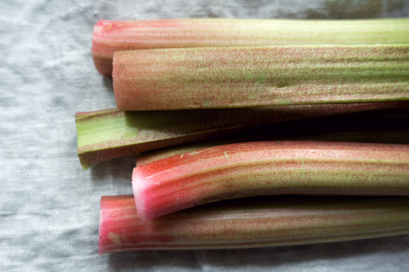 Rhubarb stems