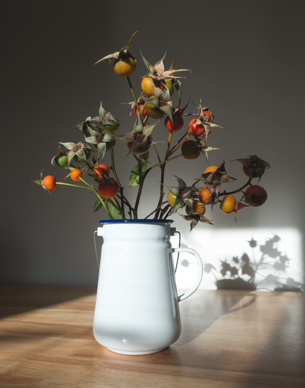 Rosehips in enamelware