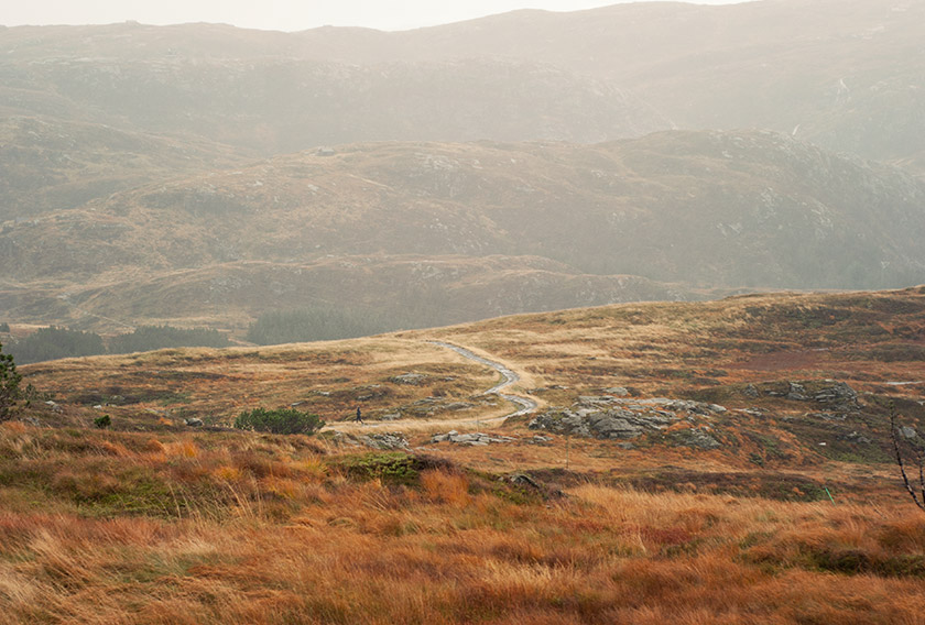 Orange mountain landscape