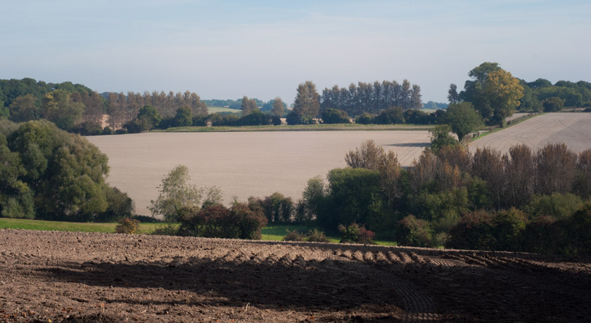 Fields in the distance