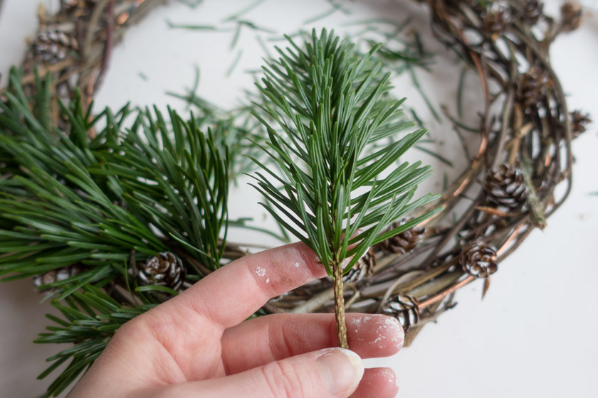 Hand holding pine offcut