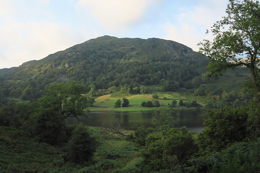 View over lake and trees