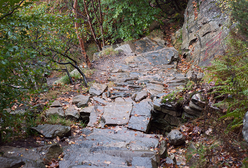 Wet stone steps on moutain