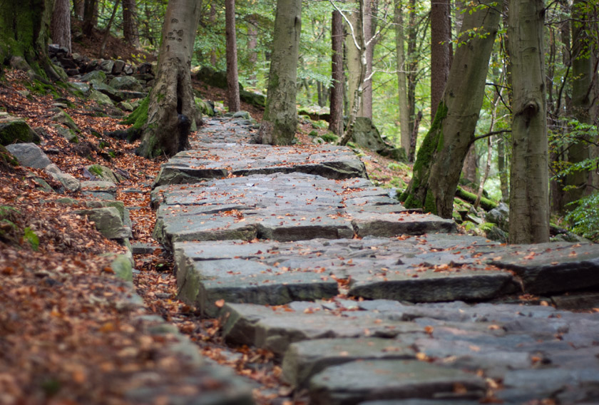 Stone steps on mountain