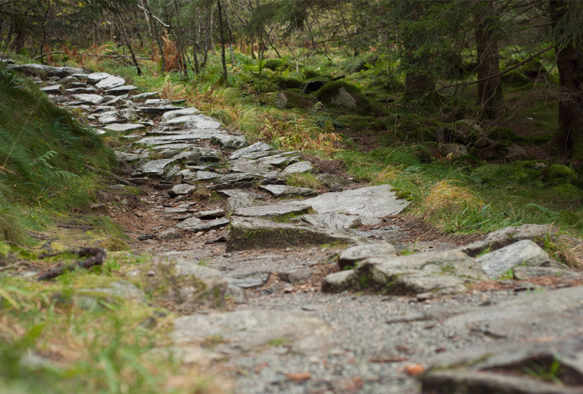 Stone steps down the mountain