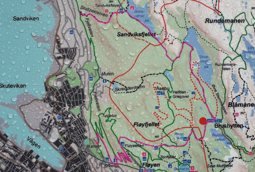 Route drawn on map