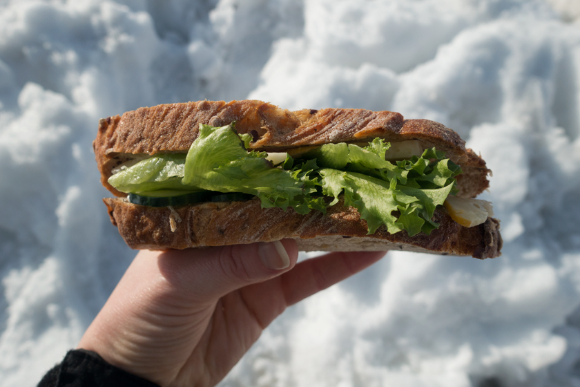 Sandwich in hand