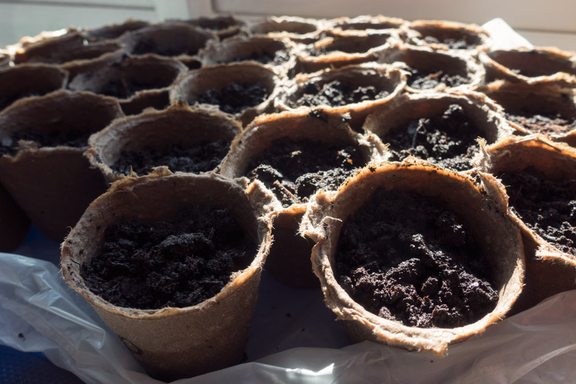 Recycling seed pots
