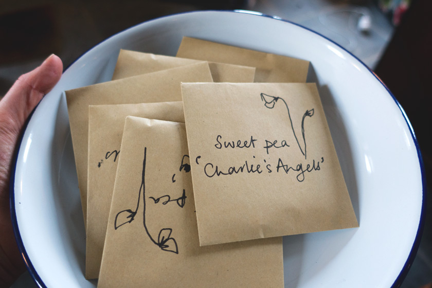 Seed packets in enamel dish