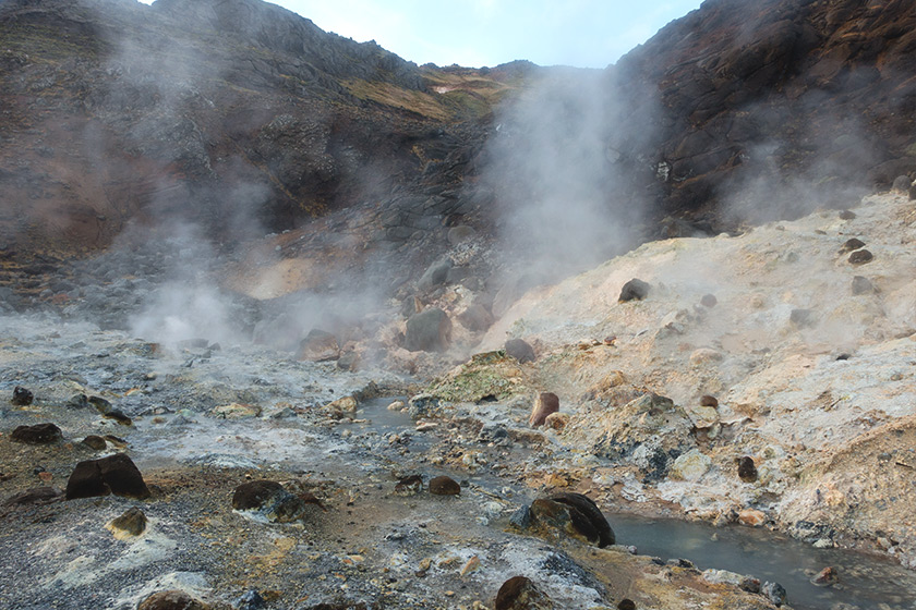 Steaming mud pot