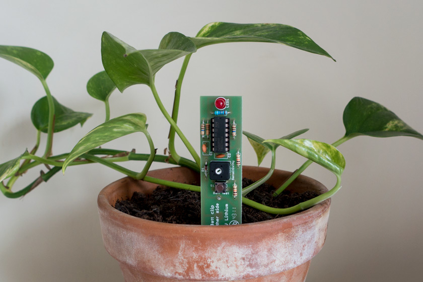Plant monitor in pot