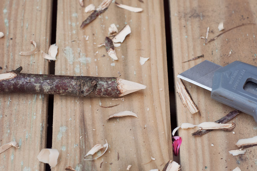 Sharpened end of wood