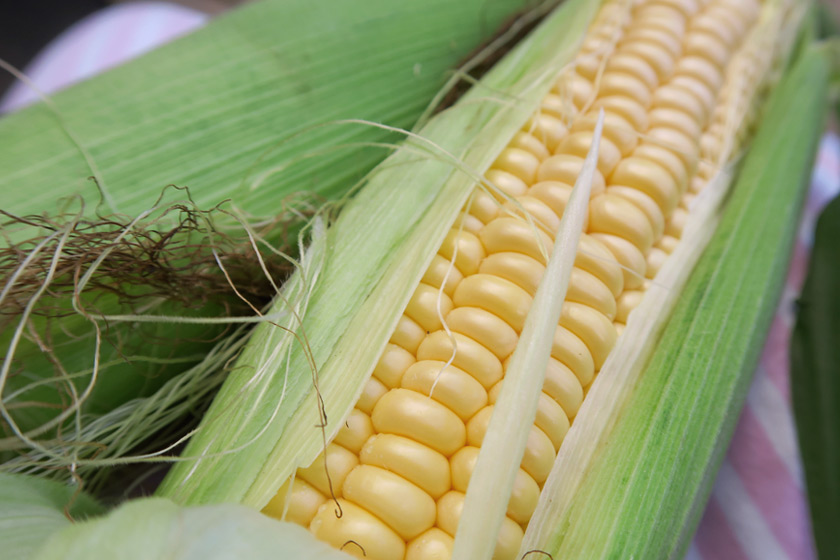 Corn on the cob