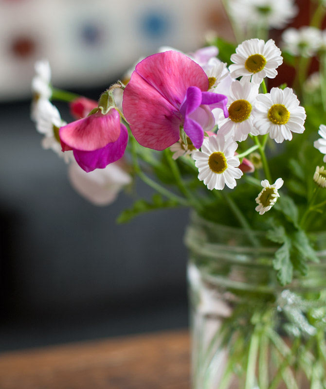 Pink and purple sweet peas