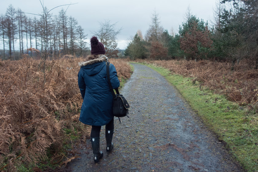 Person walking through ferns