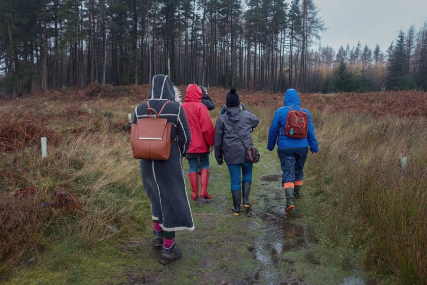 Group of walkers