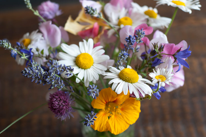Closeup of mixed flowers